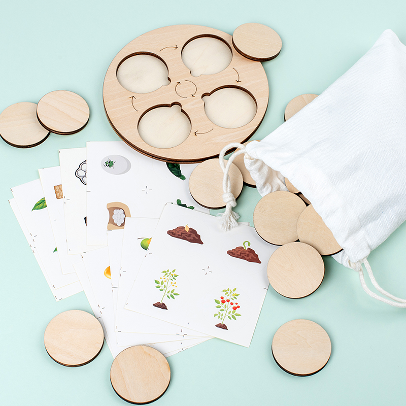 لوحة دورة الحياة مجموعة مونتيس - مراجعة Montessori Shelf Toy وسعره